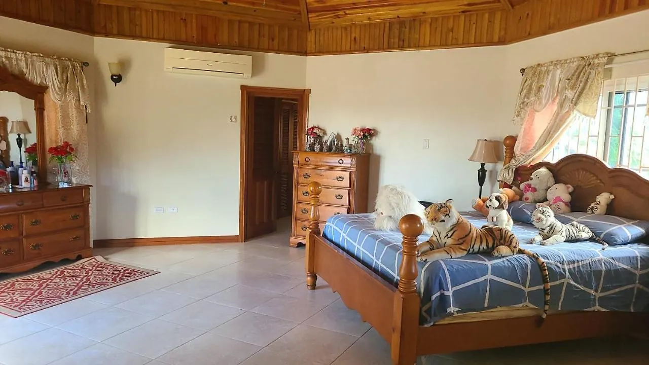 Dom wakacyjny Willa Lot 4 Negril Heights